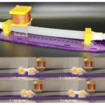 Liebau Pumping Enables Valveless Soft Swimmer Robot