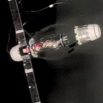 Salp-Inspired Bidirectional Jet Propulsion Swimmer with Self-Sensing